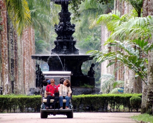 botanical-garden-rio-de-janeiro